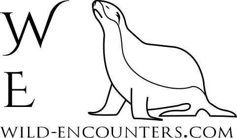 Wild-Encounters logo