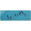 Dusky Dolphin, Glass Acrylic Print