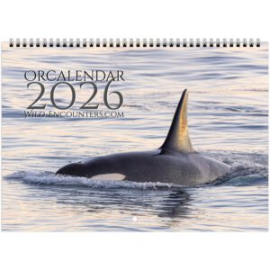 ORCAlendar 2026 (EU & Rest of World)